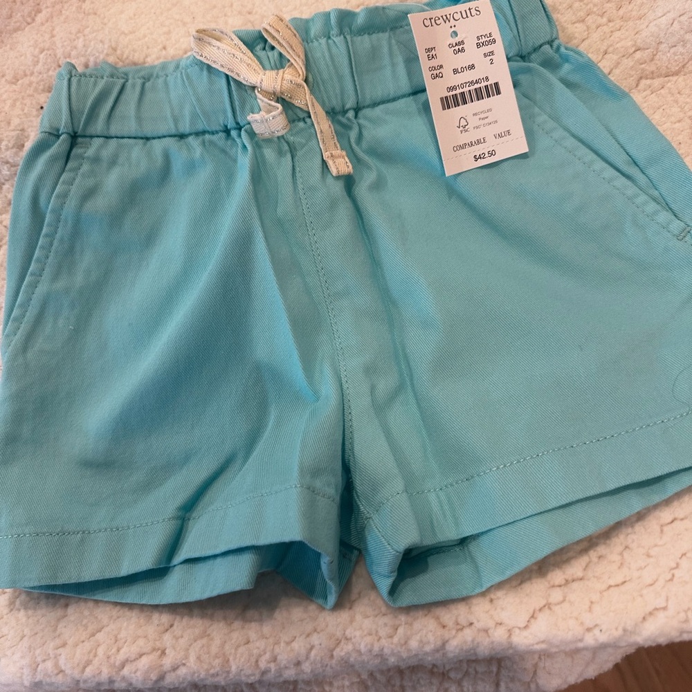 Crewcuts Aqua Shorts